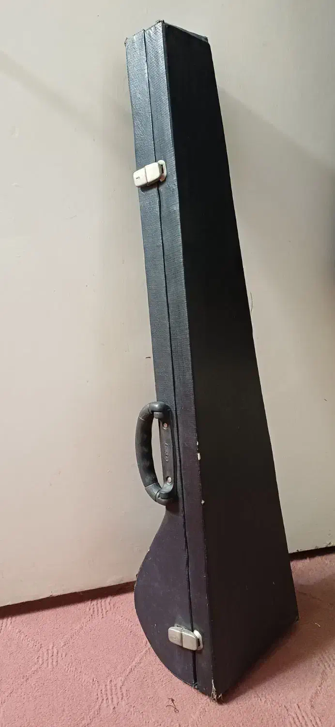 کیف سه تار|سازهای سنتی|مشهد, استاد یوسفی (شهرک غرب)|دیوار