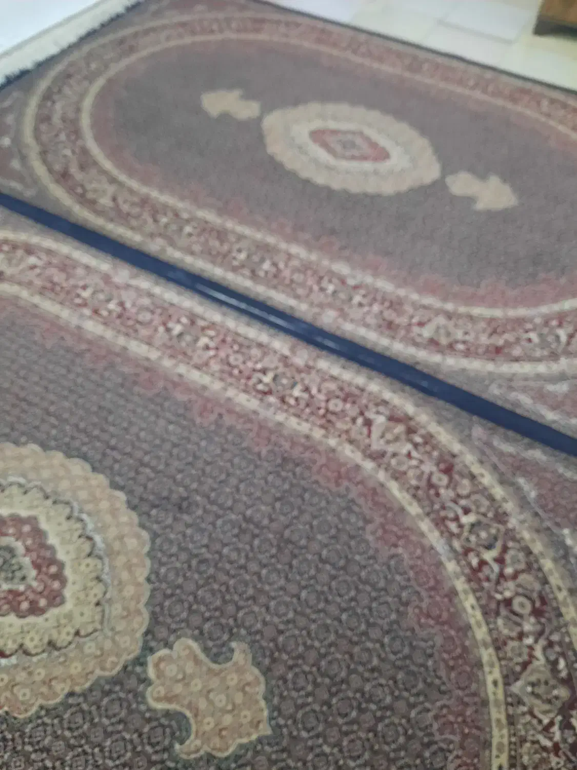 قالی۵۰۰شانه|فرش|مریوان, |دیوار