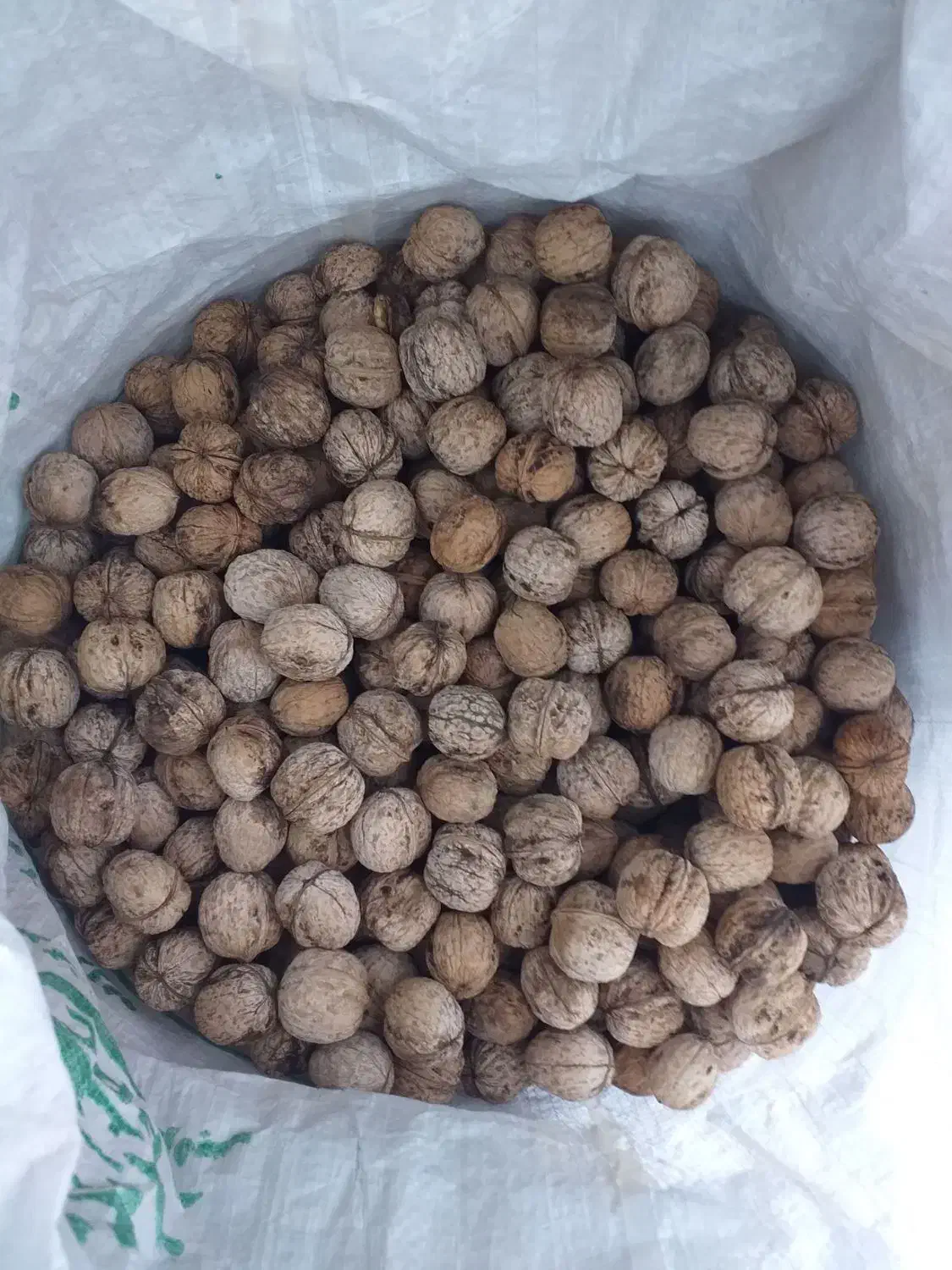 خشکبار ..گردو|خوردنی و آشامیدنی|خنداب, |دیوار