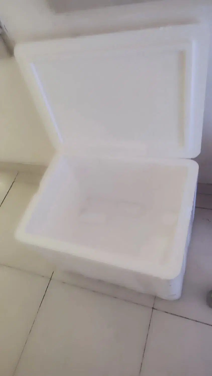 کلمن|ظروف نگهدارنده، پلاستیکی، یک‌بارمصرف|کیش, |دیوار