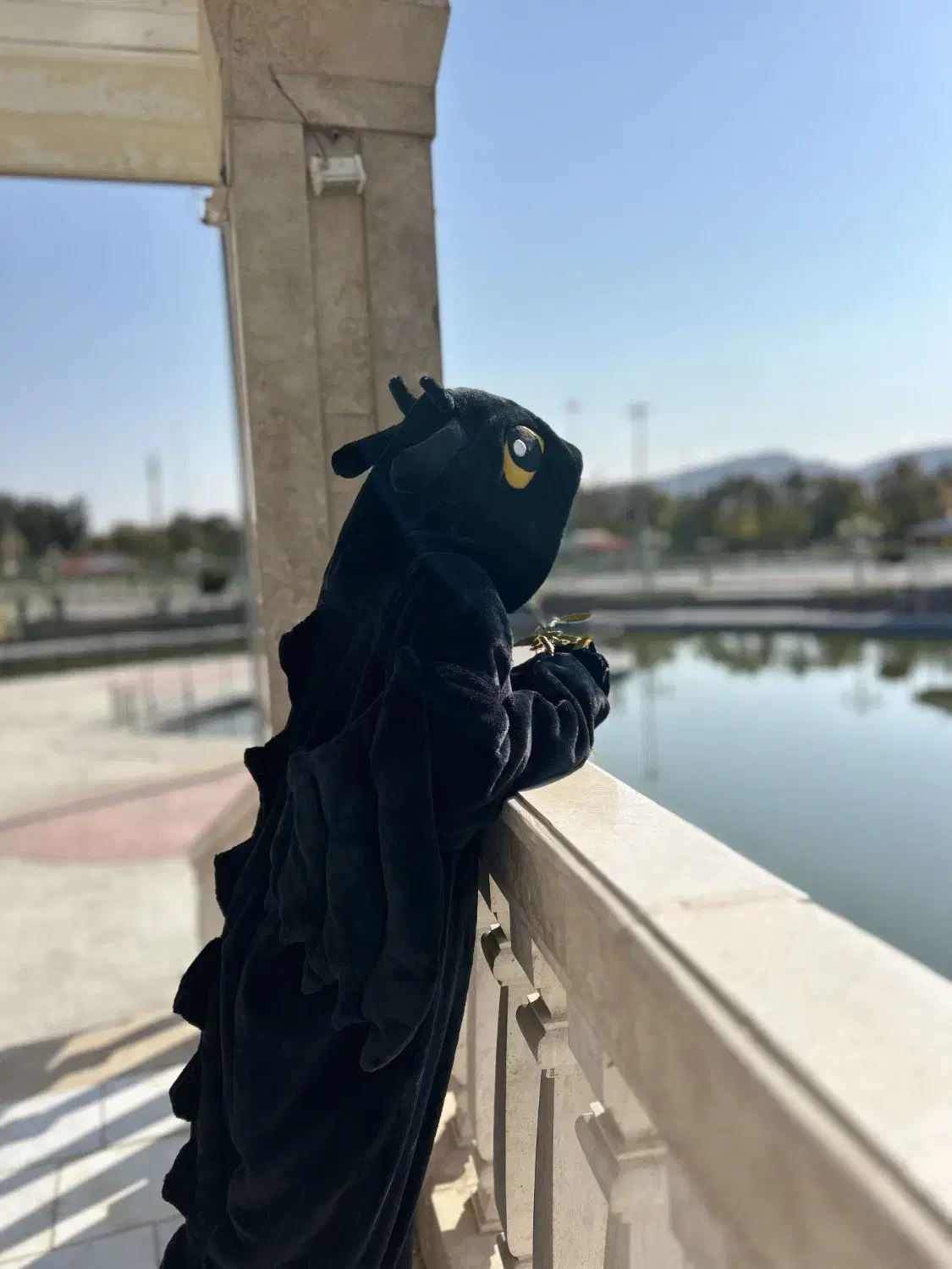 لباس بی دندون|لباس|شیروان (خراسان), |دیوار