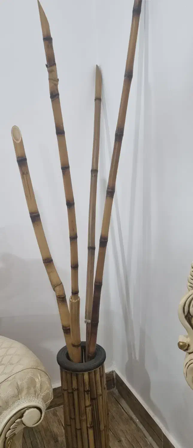 گلدان چوبی|صنایع دستی و سایر لوازم تزئینی|ایذه, |دیوار