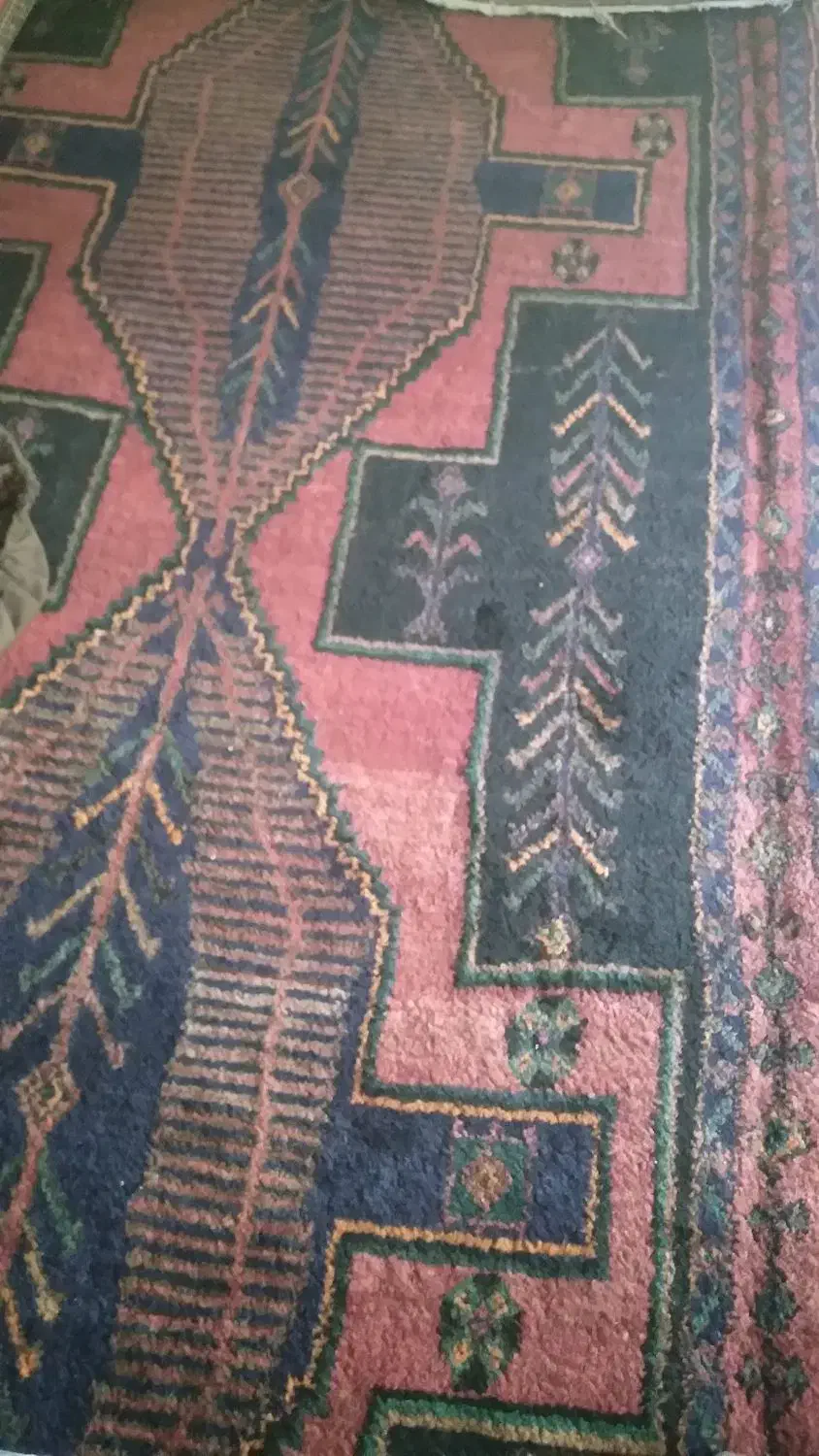 قالی وگلیم درحد زیر خاکی|فرش|موچش, |دیوار