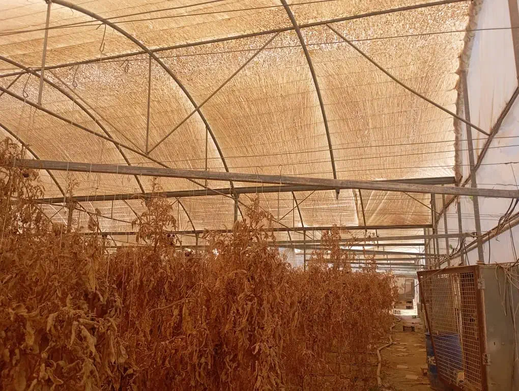 فروش سازه دست دو و تعمیرات و نصب|خدمات پیشه و مهارت|شهرضا, |دیوار