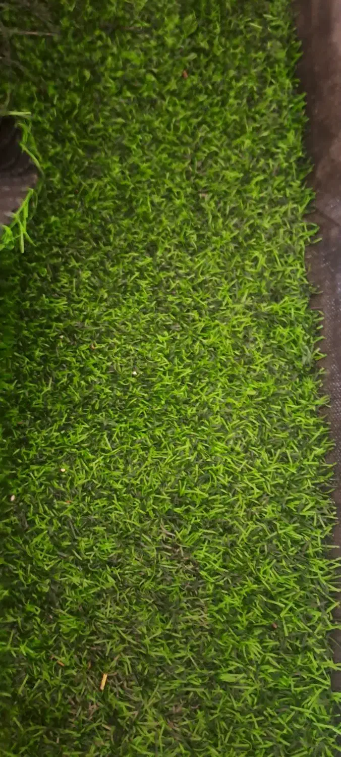 چمن مصنوعی|تجهیزات ورزشی|رباط‌کریم, رباط‌کریم|دیوار