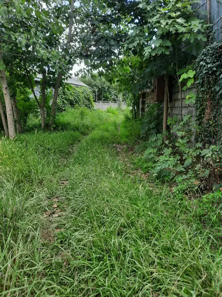 زمین ویلائی|فروش خانه و ویلا|لاهیجان, بازکیاگوراب|دیوار