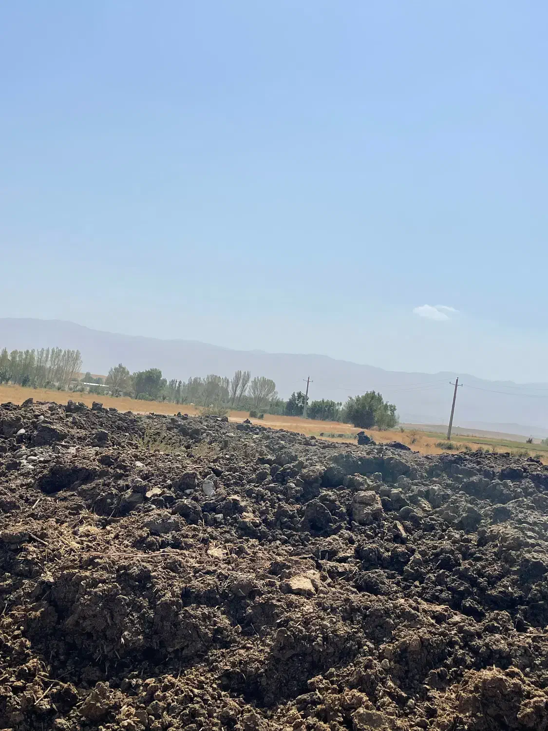 کود حیوانی یانمش پین بر گاوداری|خدمات باغبانی و درختکاری|سراب, |دیوار