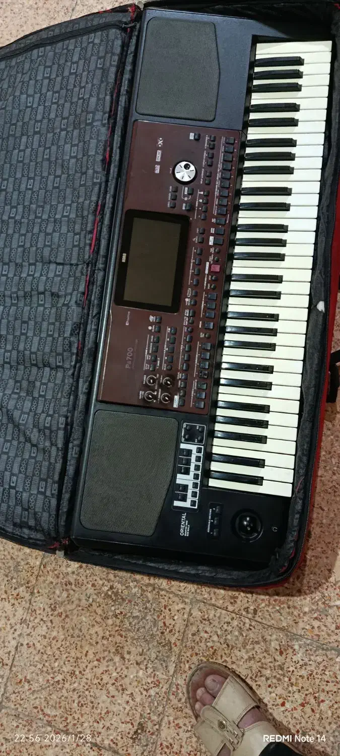 اورگ|پیانو، کیبورد، آکاردئون|سوسنگرد, |دیوار