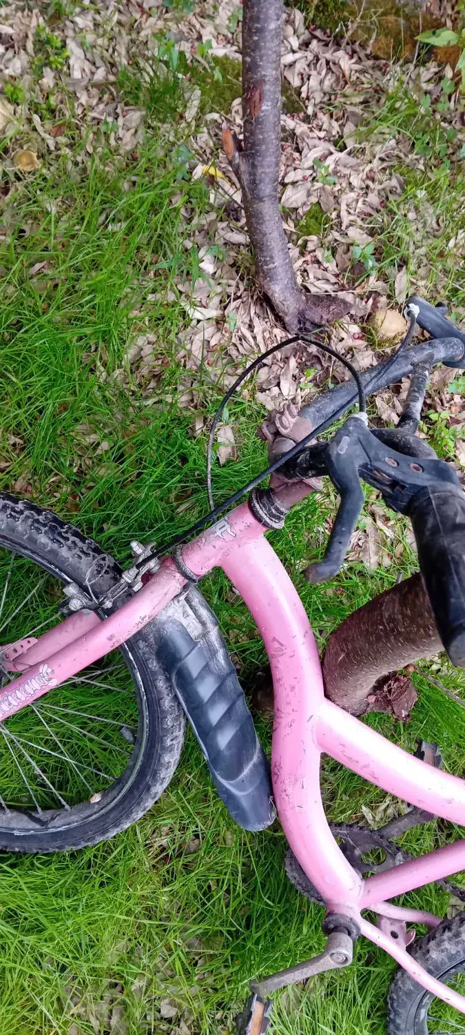 دوچرخه صورتی بچه گانه|دوچرخه، اسکیت، اسکوتر|رشت, خمیران زاهدان|دیوار