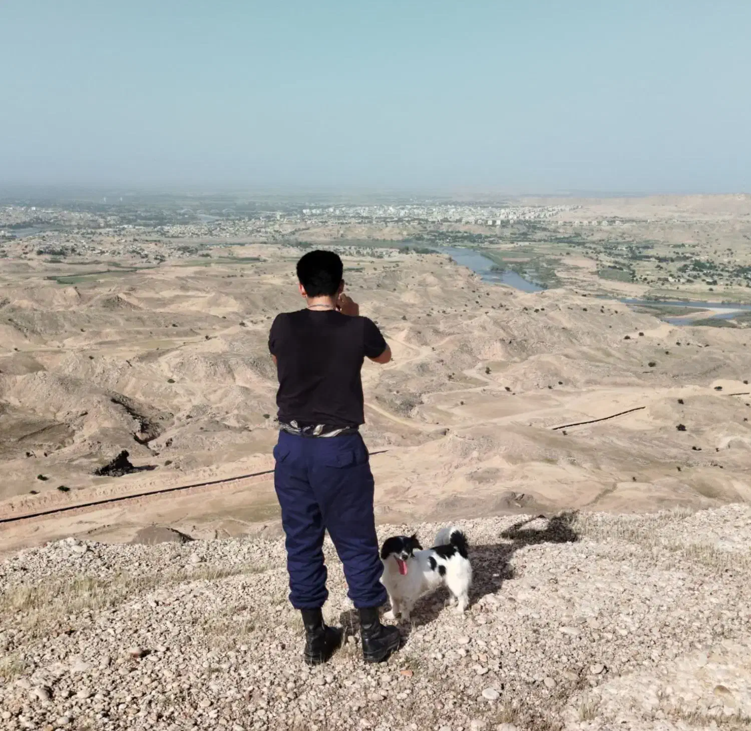 گمشده لطفا اطلاع بدین|سگ|شوشتر, |دیوار