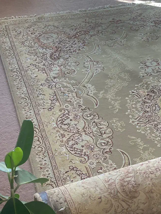 فرش ۱۲ متری و ۶ متری تمیز گردویی رنگ|فرش|شهرضا, |دیوار