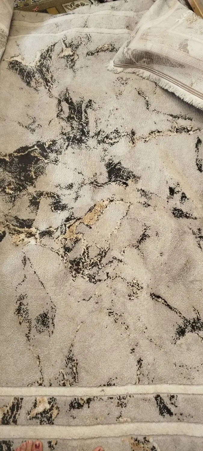 فرش 6متری فقط نیاز به شستن دارد|فرش|لاهیجان, لاشیدان|دیوار