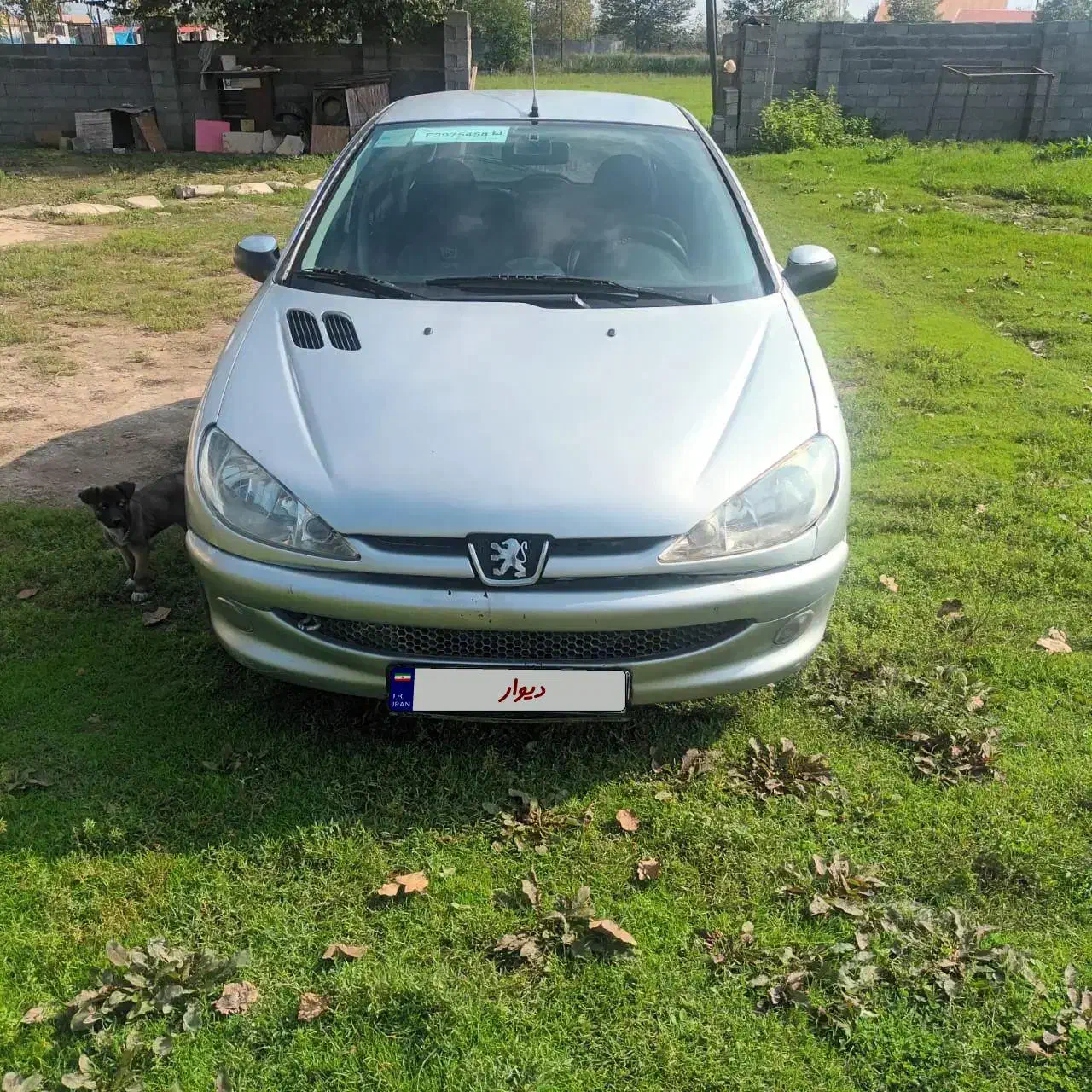 ۲۰۶ تیپ ۲|خودرو سواری و وانت|خشکبیجار, |دیوار