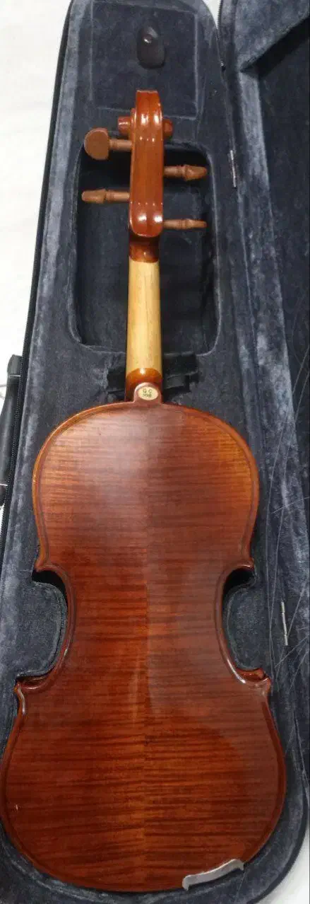 ساز ویولون|ویولن|نیشابور, دارایی|دیوار