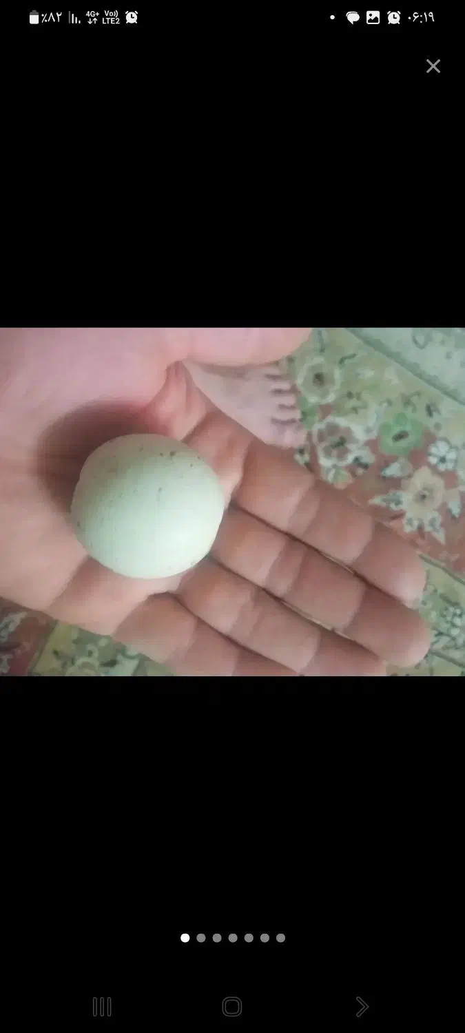 سنک آسیاب الماس|جواهرات|قم, سید معصوم|دیوار