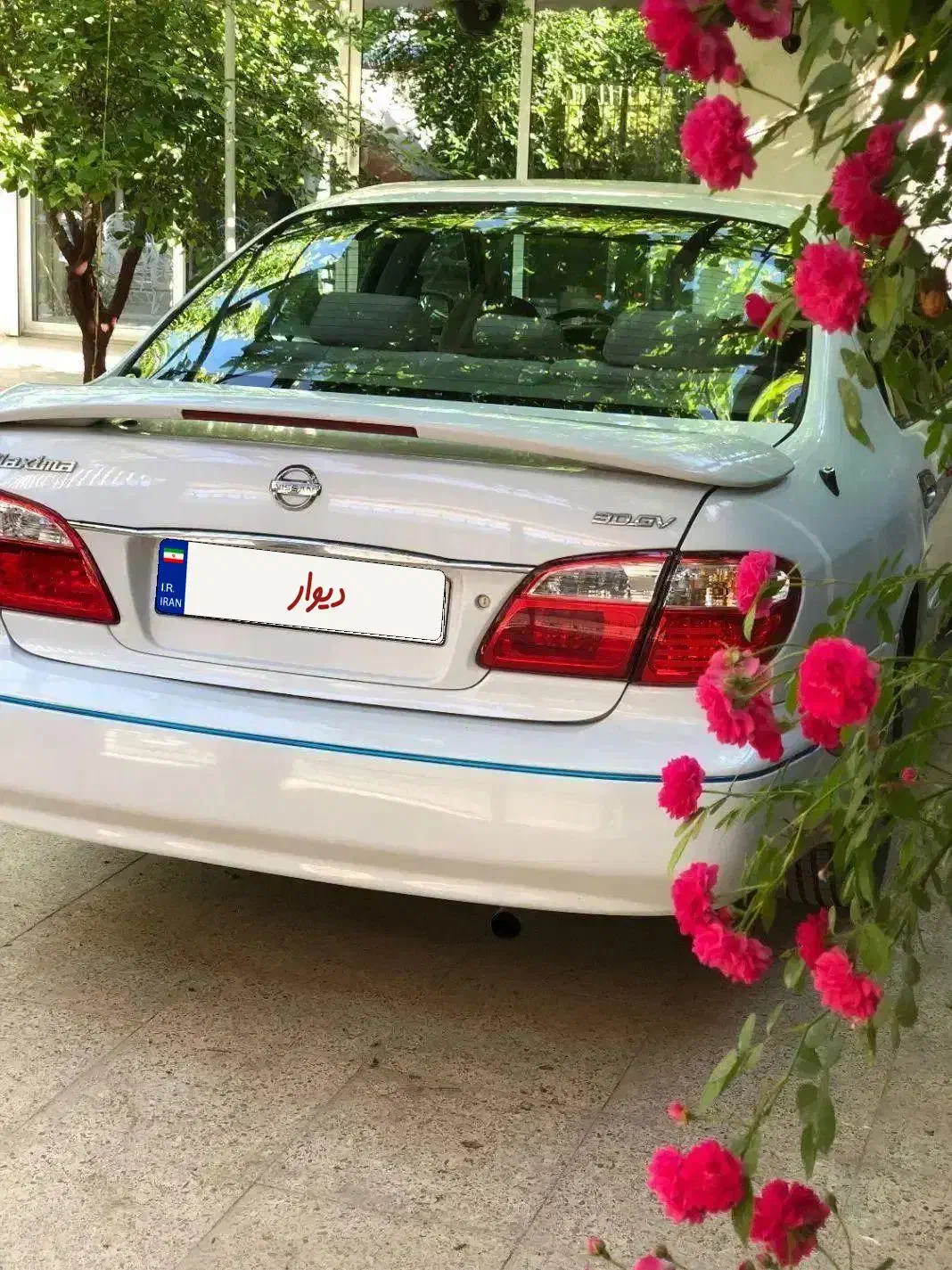 ماکسیما بسیار تمیز مدل ۸۲ رخ در حد مدل ۹۱|خودرو سواری و وانت|شاهین‌شهر, شهرک ردانی پور|دیوار