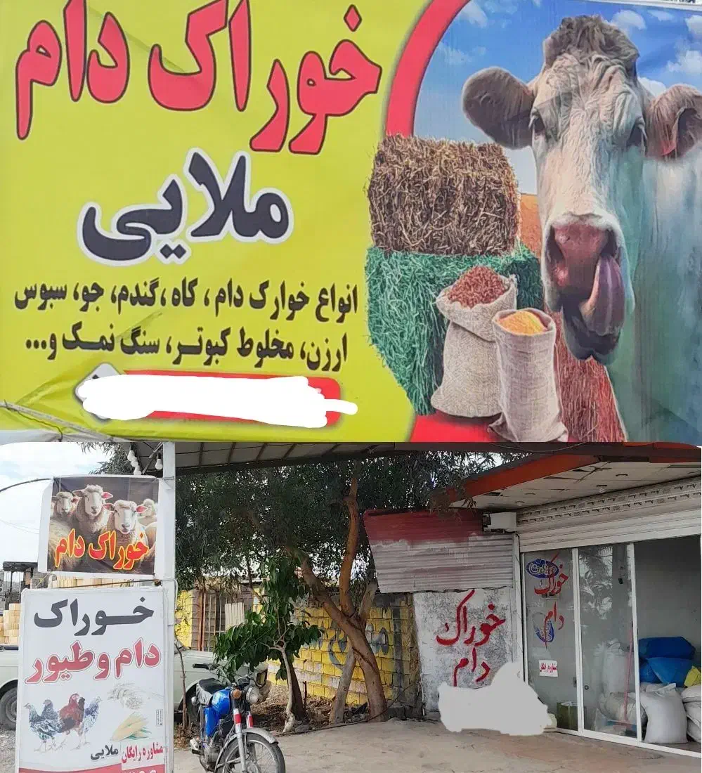 خوراک دام ملایی گندم جو ارزن سبوس مخلوط ذرت جوجه|لوازم جانبی حیوانات|جیرفت, |دیوار