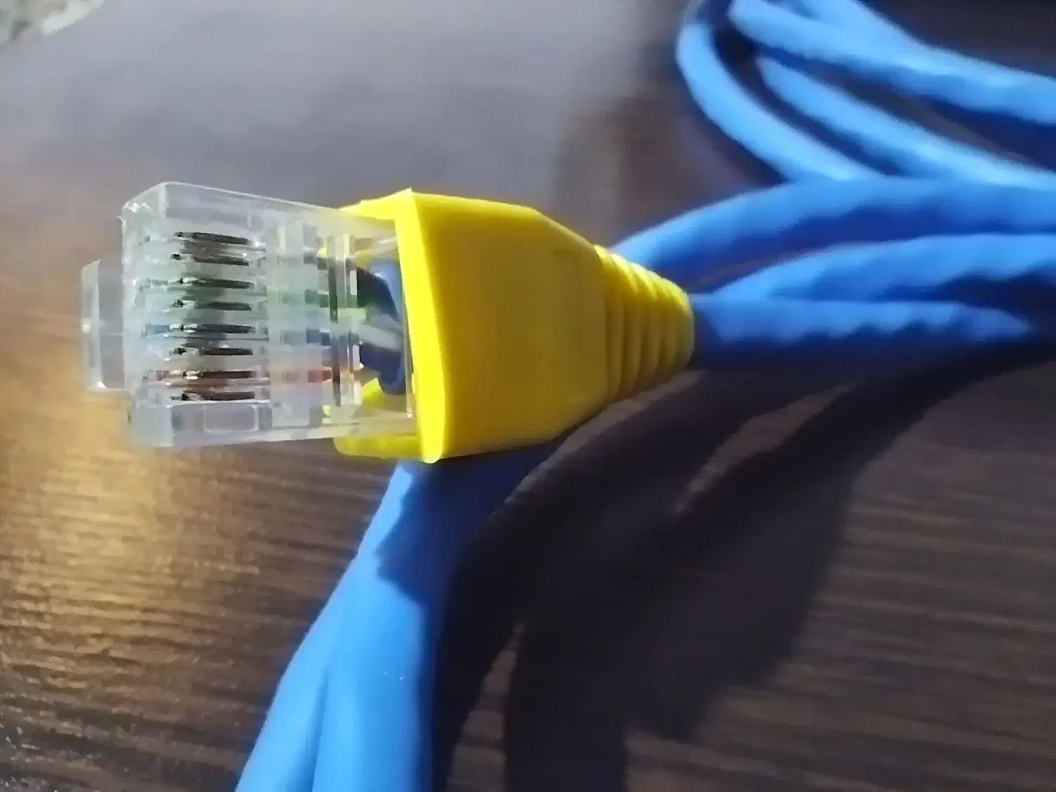 کابل شبکه|قطعات و لوازم جانبی رایانه|کرمانشاه, |دیوار