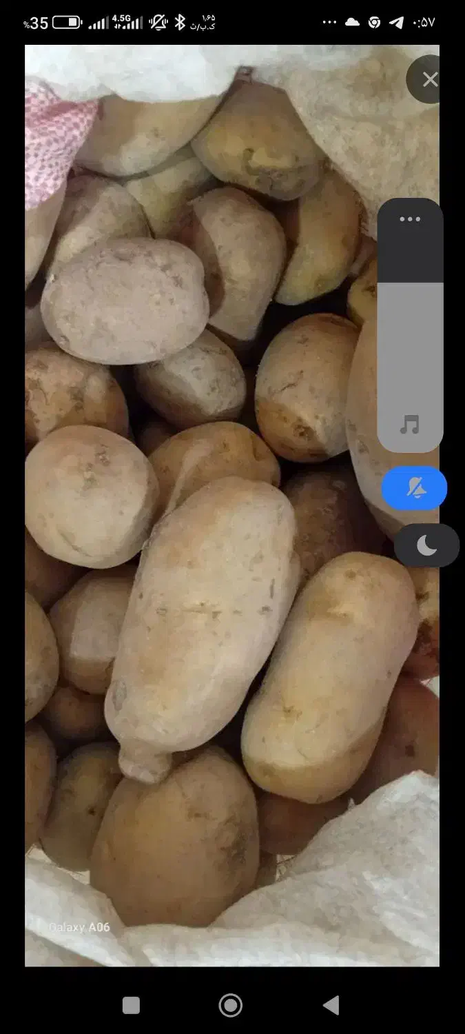 سیب زمینی (چهار گونی موجوده فقط)|خوردنی و آشامیدنی|نمین, |دیوار