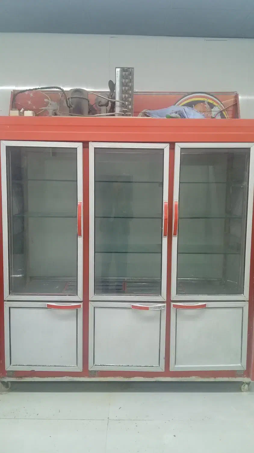 یخچال شش درب دو بر شیشه|فروشگاه و مغازه|مرودشت, بیست متری بیمارستان|دیوار