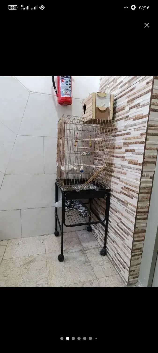 قفس و پایه و لونه|لوازم جانبی حیوانات|قدس, شهرقدس|دیوار