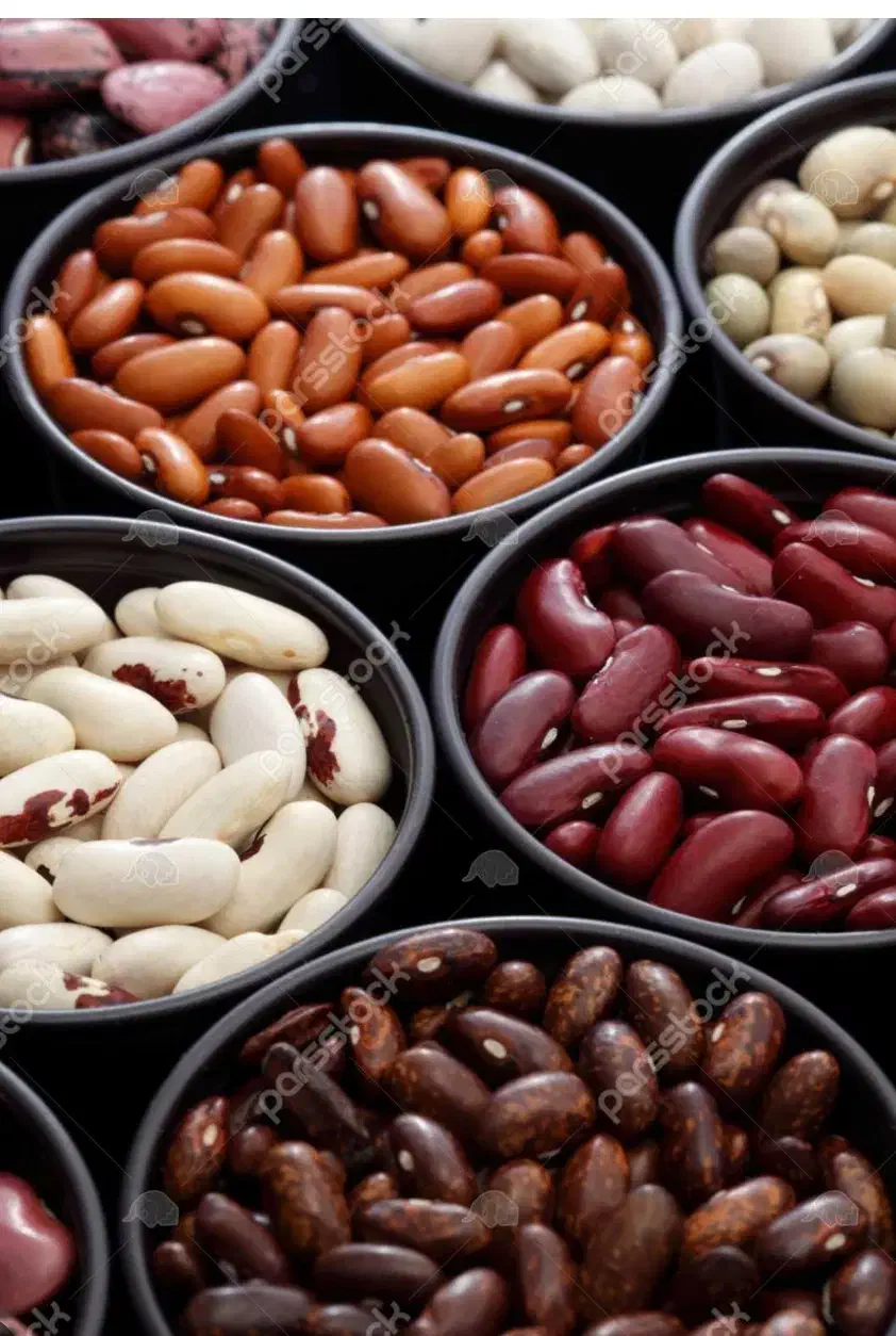 فروش عمده لوبیا|خوردنی و آشامیدنی|شیراز, سیاه سنگ|دیوار