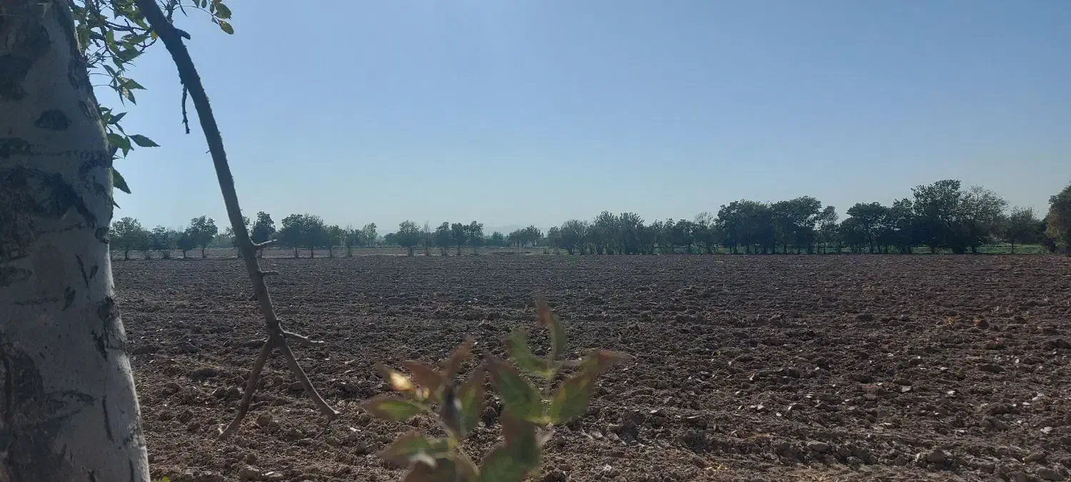 زمین کشاورزی|فروش دفتر صنعتی، کشاورزی، تجاری|ری, شهرک نظامی|دیوار