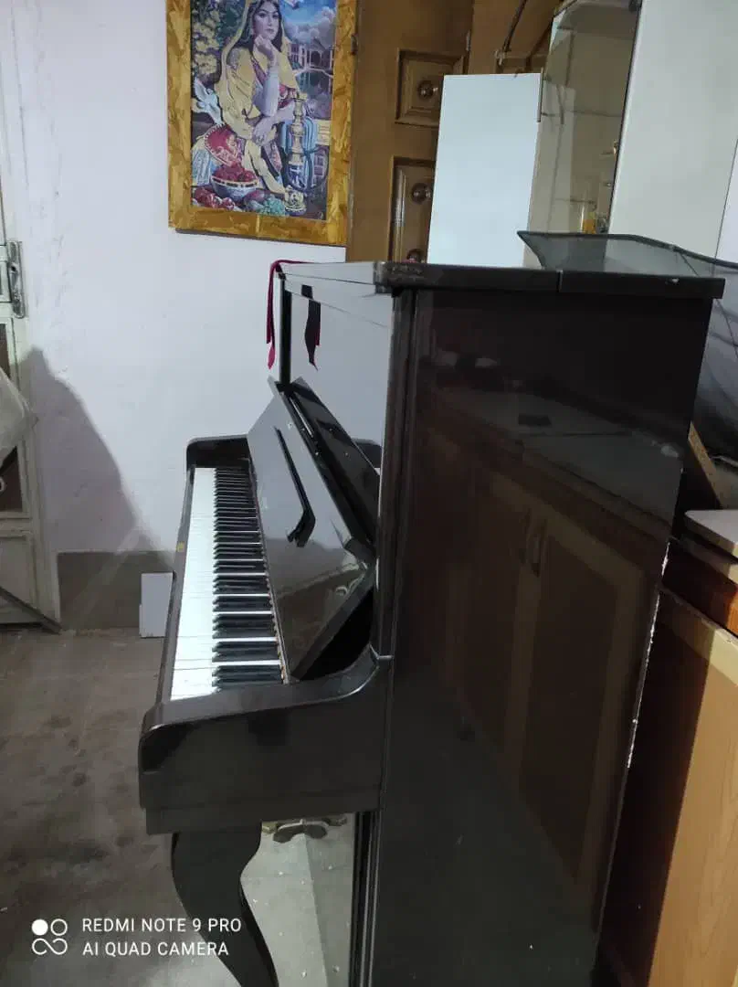 پیانوآکوستیک ژاپن شیراز|پیانو، کیبورد، آکاردئون|صدرا-فارس, فاز ۱|دیوار