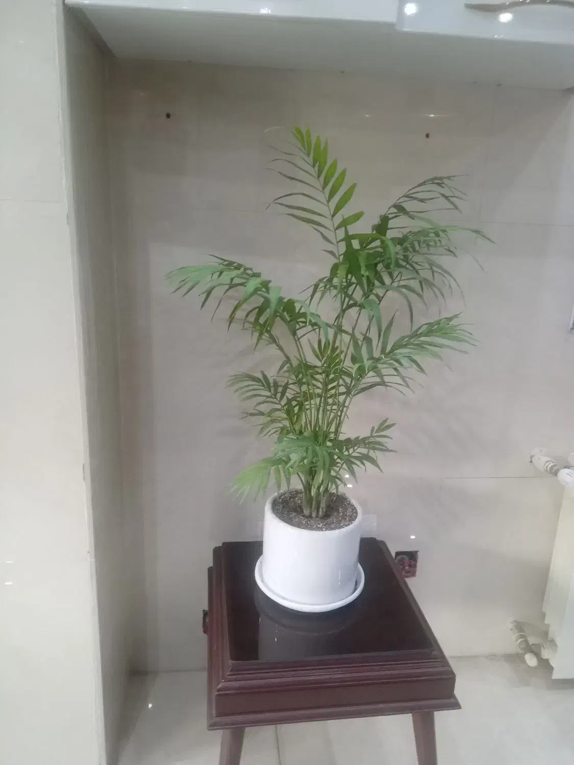 همکاری ‌در بهترین لوکیشن منطقه(ساماندهی)|استخدام اداری و مدیریت|کرج, ساماندهی|دیوار