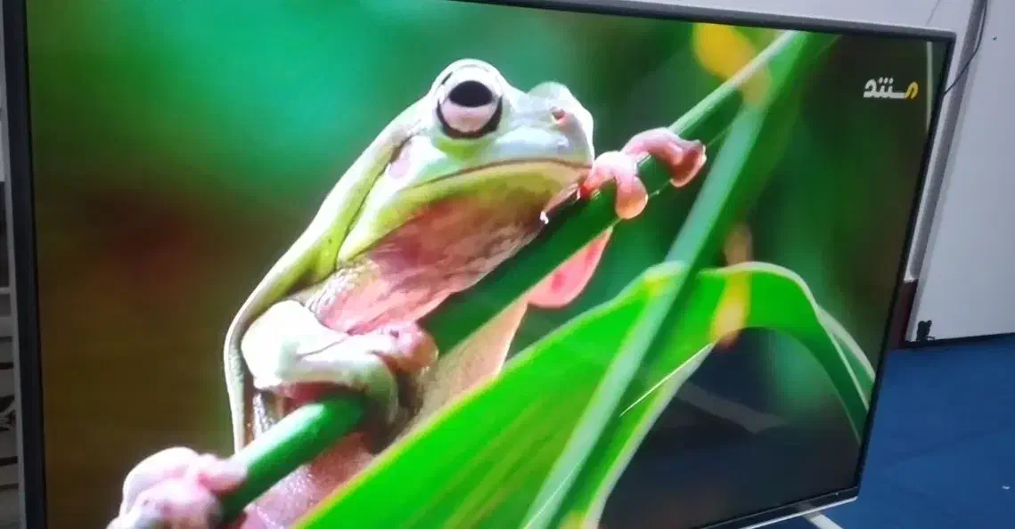 4۳اینچ الجی اصل کره ماهواره سرخود|تلویزیون و پروژکتور|کوهدشت, |دیوار