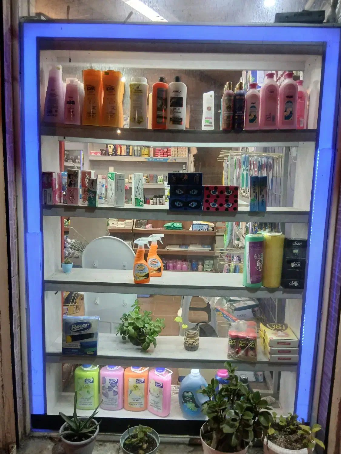 تعداد ۵ عدد قفسه ، به همراه نور داخلی|فروشگاه و مغازه|لاهیجان, قیام|دیوار