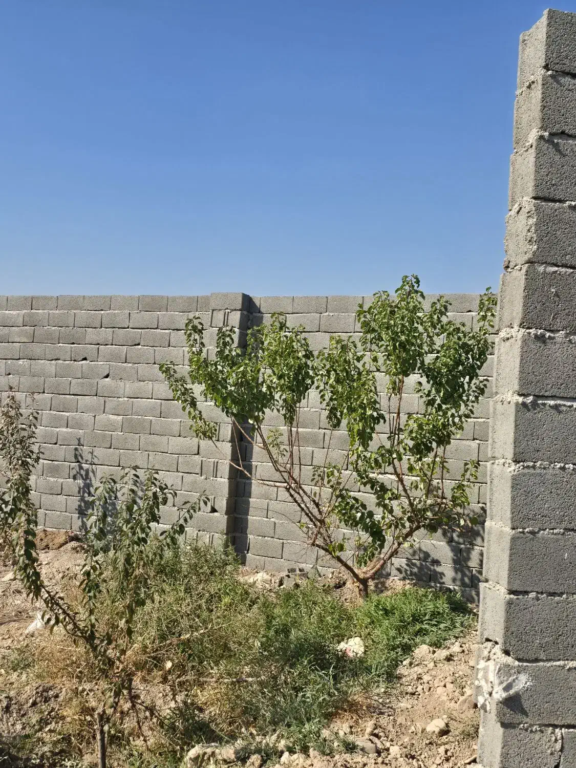 باغ و باغچه ۲۱۰ متری.برق گاز اب.سندتک برگ|فروش زمین و ملک کلنگی|وحیدیه, |دیوار