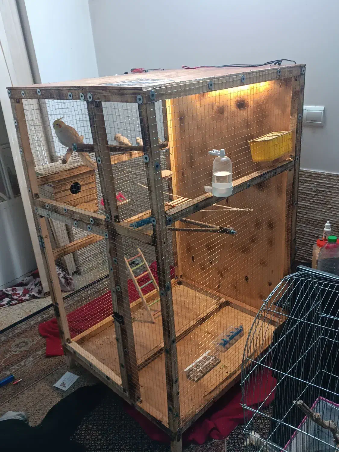 قفس چوبی|لوازم جانبی حیوانات|شیراز, کوشک میدان|دیوار