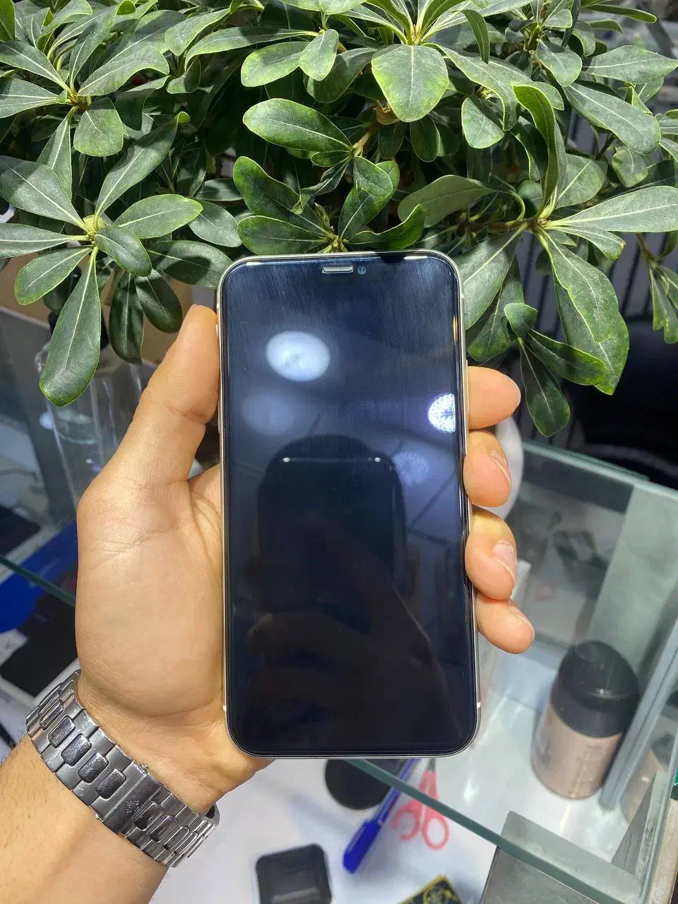 آیفون ۱۱ نرمال سفید پک اصلی باز نشده پلمپ|موبایل|رشت, لاکانی|دیوار