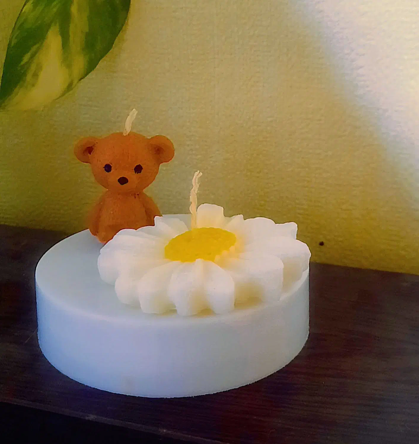 دونه ای ۳۵|صنایع دستی و سایر لوازم تزئینی|اسفراین, |دیوار