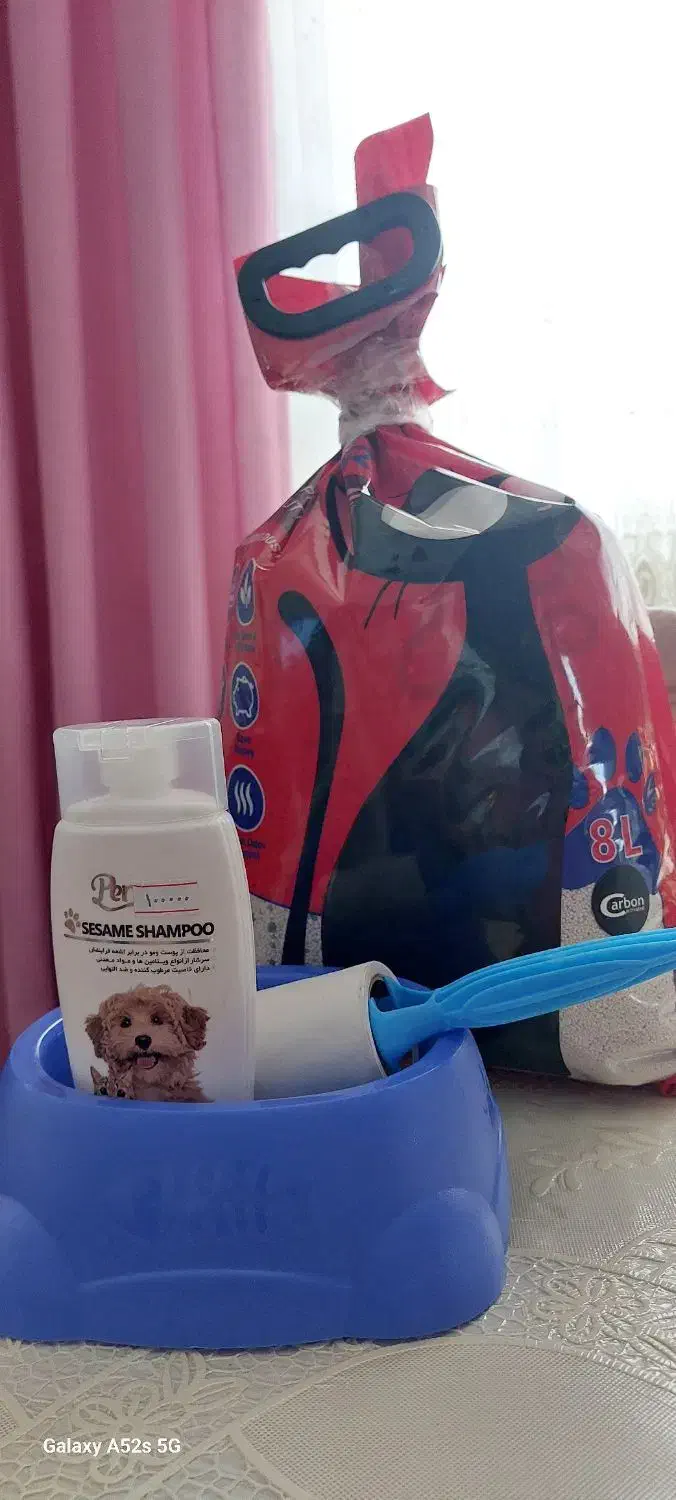 وسایل گربه|گربه|رشت, ترمینال|دیوار