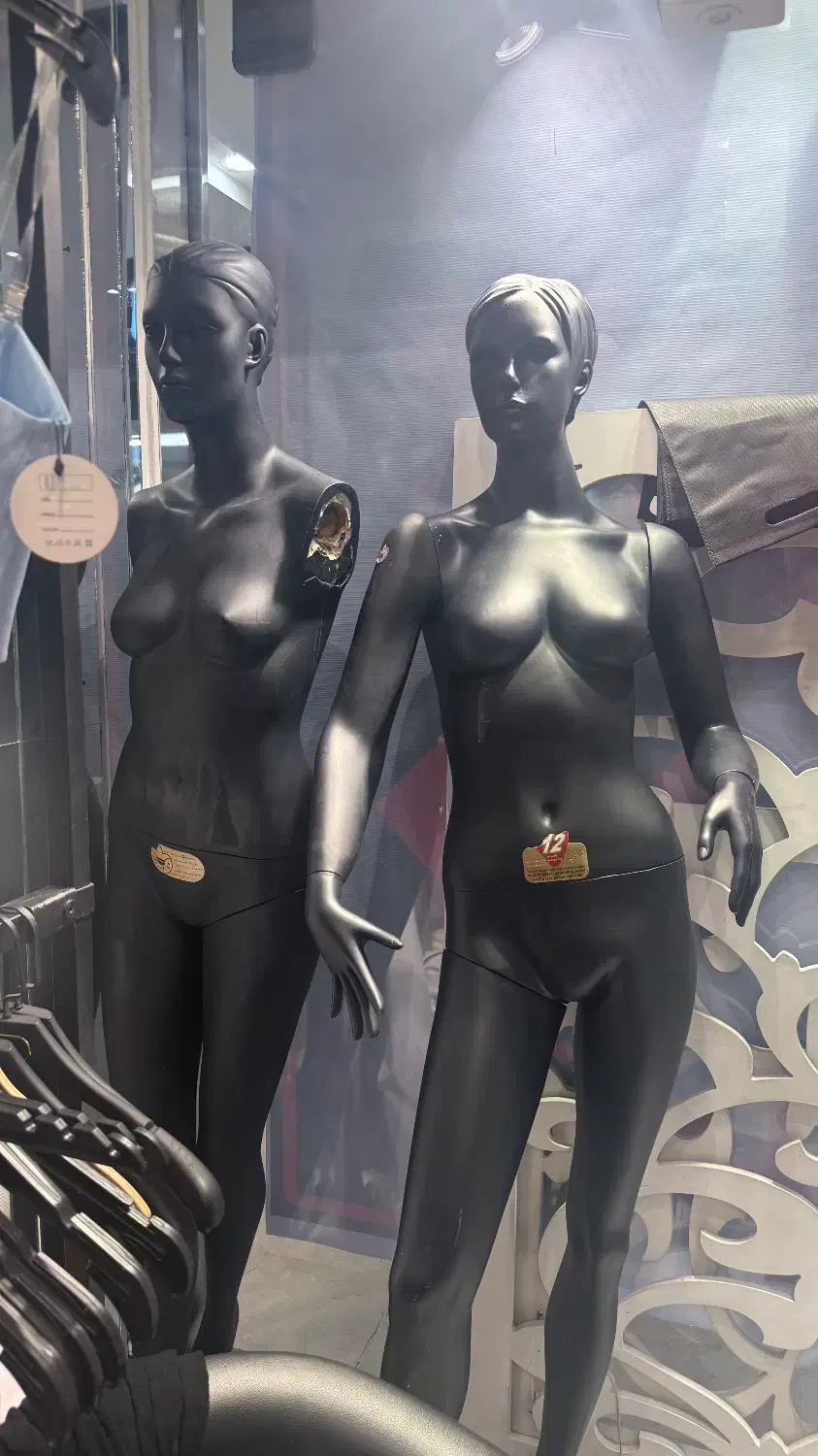 مانکن|فروشگاه و مغازه|تهران, باغ فیض|دیوار