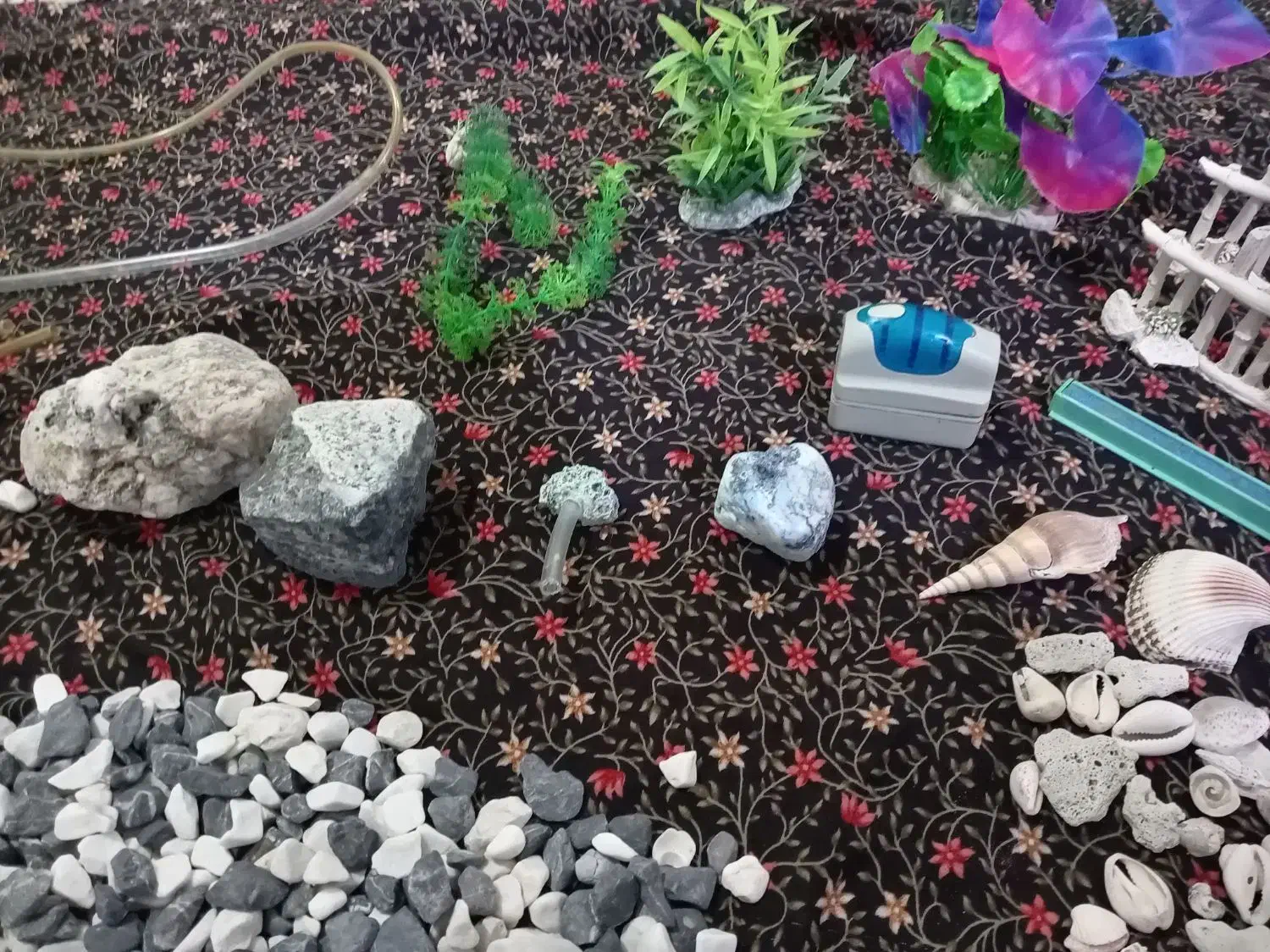 لوازم اکواریم|ماهی|نیشابور, خط کاشمر|دیوار