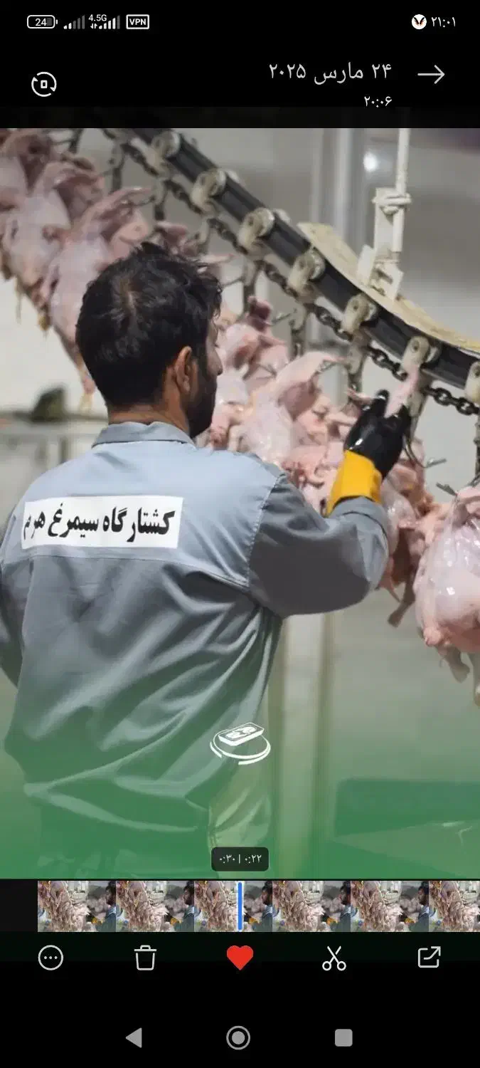 نیازمند نیروی کار آقا جهت کار در کشتارگاه|استخدام صنعتی، فنی، مهندسی|نیشابور, دربقاضی|دیوار