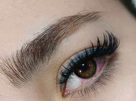 آف ویژه اکستنشن مژه برای مدت محدود فقط ۲۵۰|خدمات آرایشگری و زیبایی|هشتگرد, شهرک ولیعصر (مصلی)|دیوار