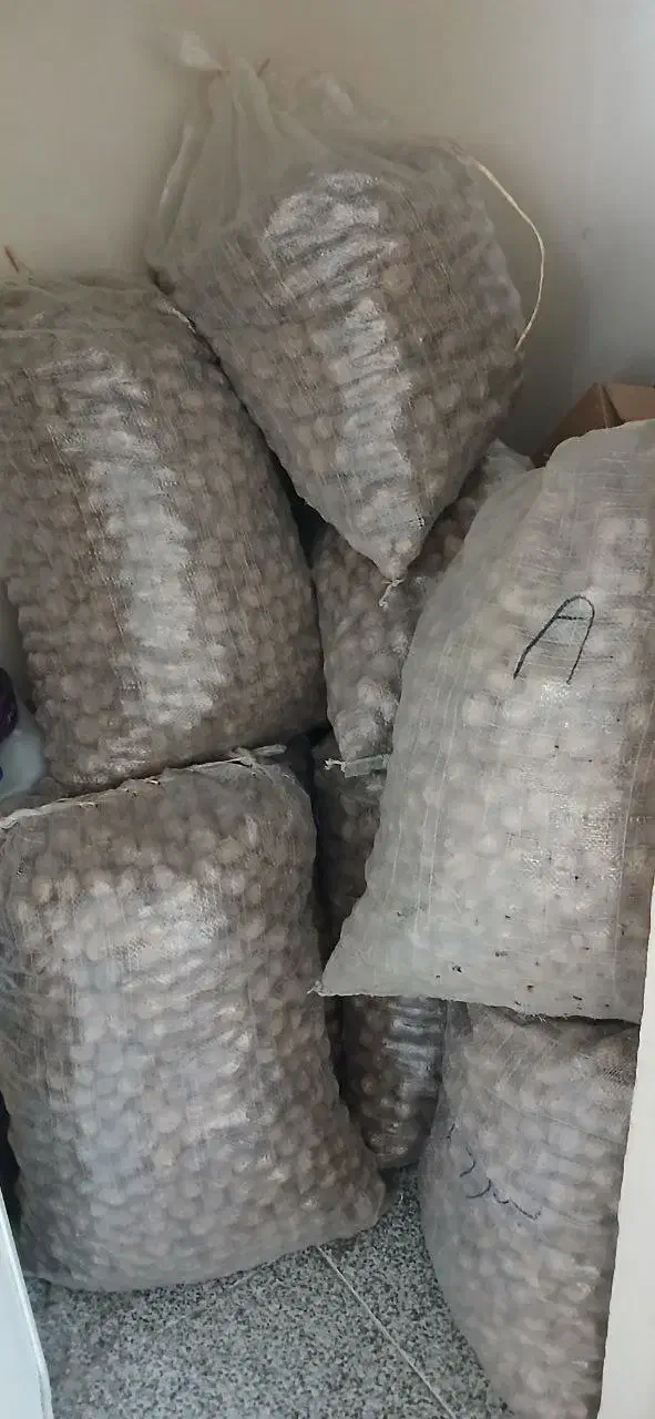 گردو درجه ۱ بوانات|خوردنی و آشامیدنی|شیراز, پودنک|دیوار