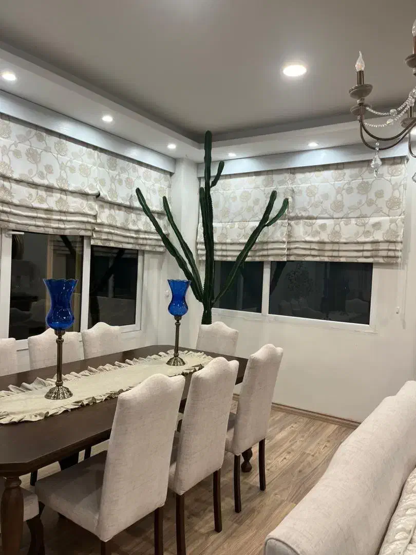 کاکتوس افوربیا|گل و گیاه طبیعی|کرج, فاز ۱ مهرشهر|دیوار