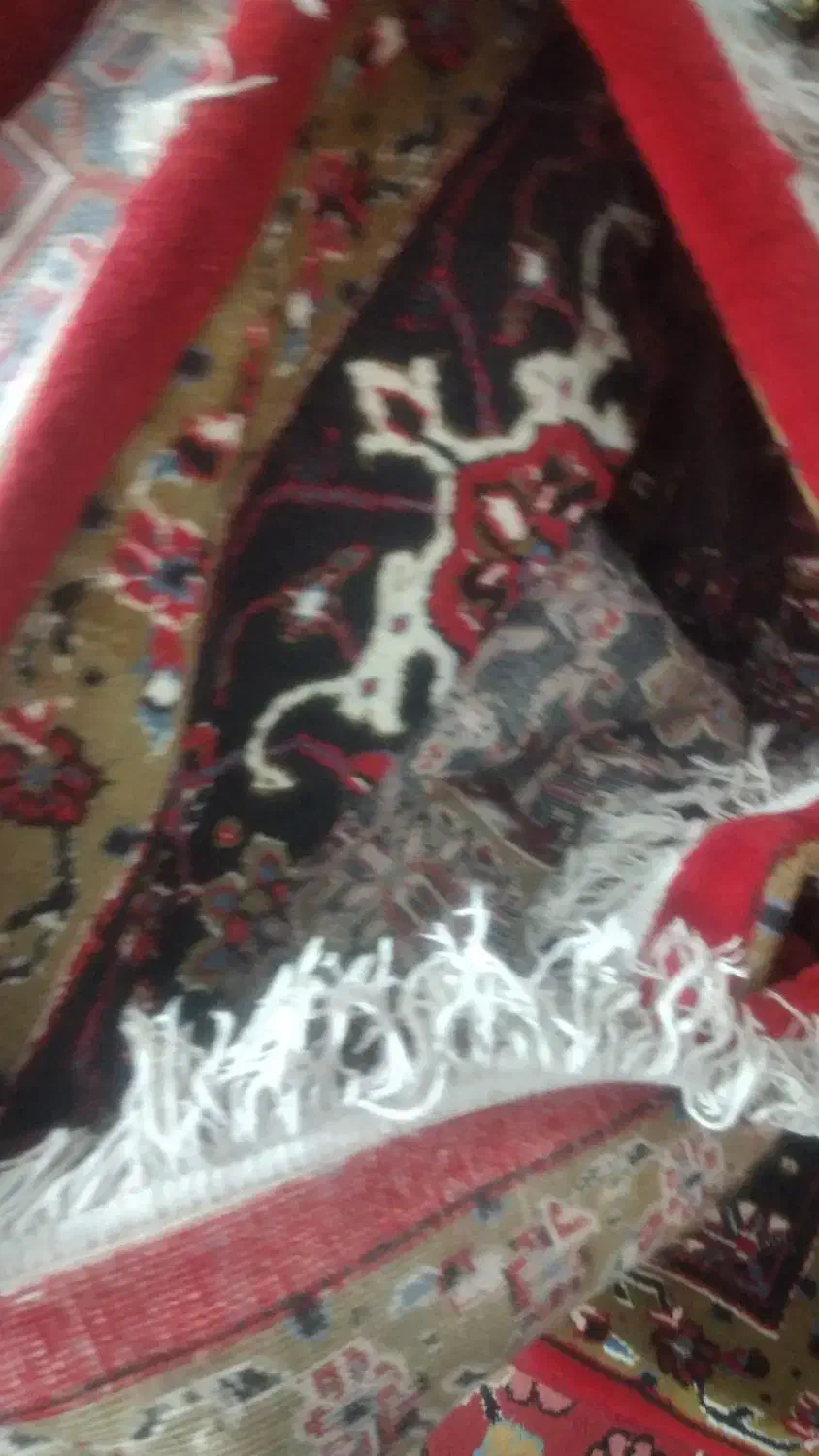 فرش‌۱۲متری|فرش|تبریز, |دیوار