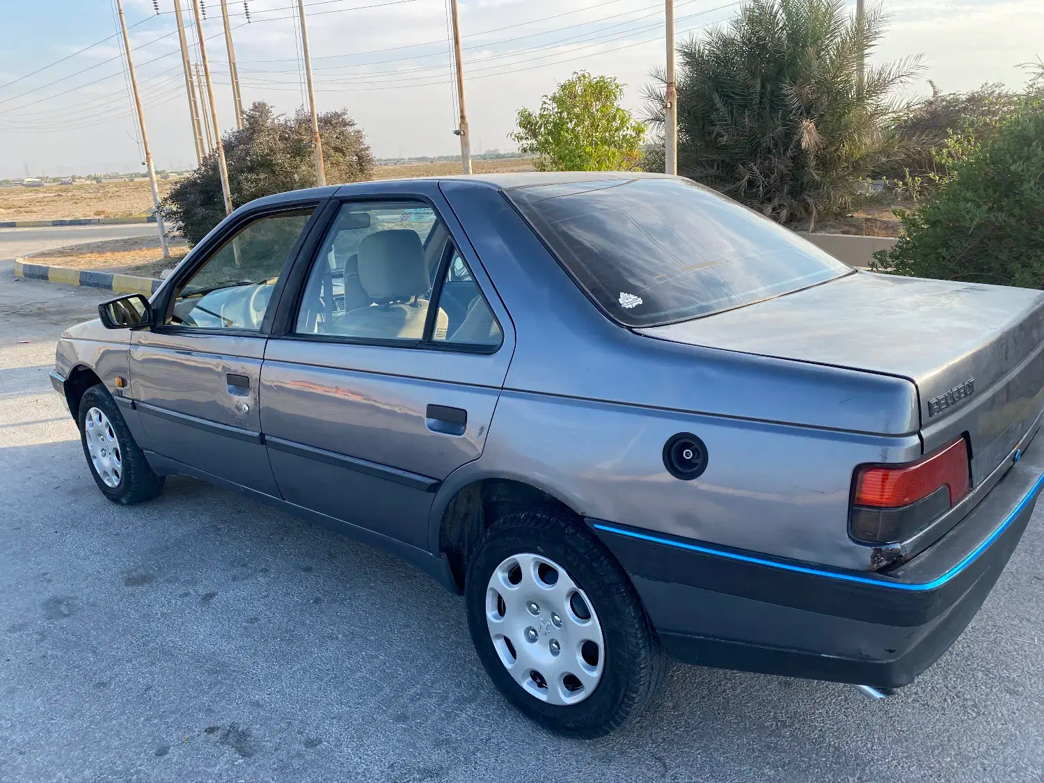 پژو دوگانه کارخانه۹۴|خودرو سواری و وانت|برازجان, |دیوار