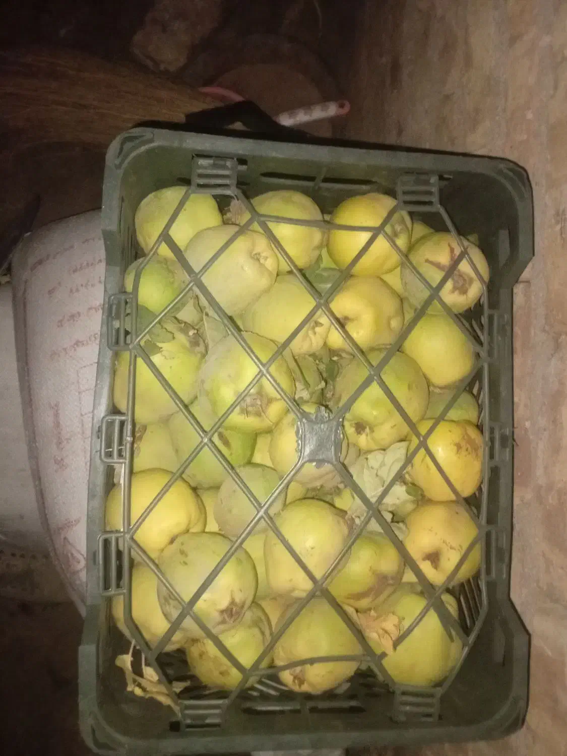 هیوا به تازه|خوردنی و آشامیدنی|بستان آباد, |دیوار