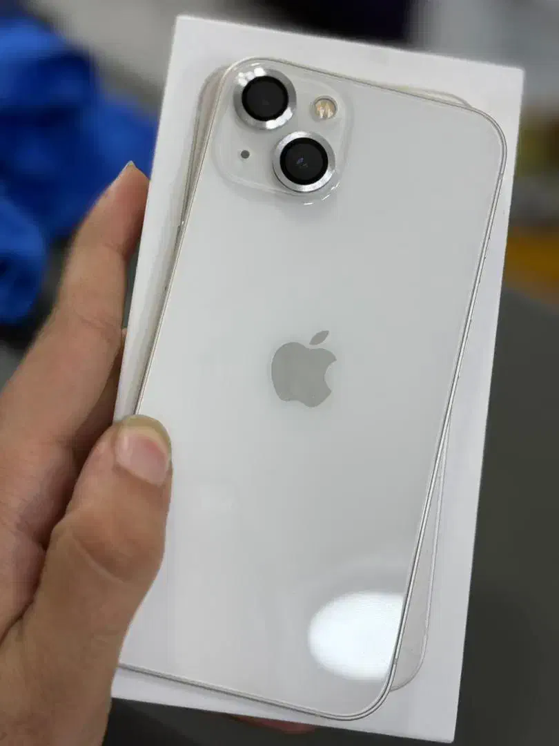 iphone 13 normal cha 128|موبایل|شیراز, زند|دیوار