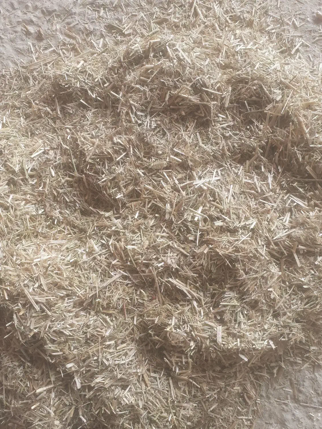 خریدو فروش کاه نرم وخارشتر|عمده‌فروشی|گنبد کاووس, |دیوار