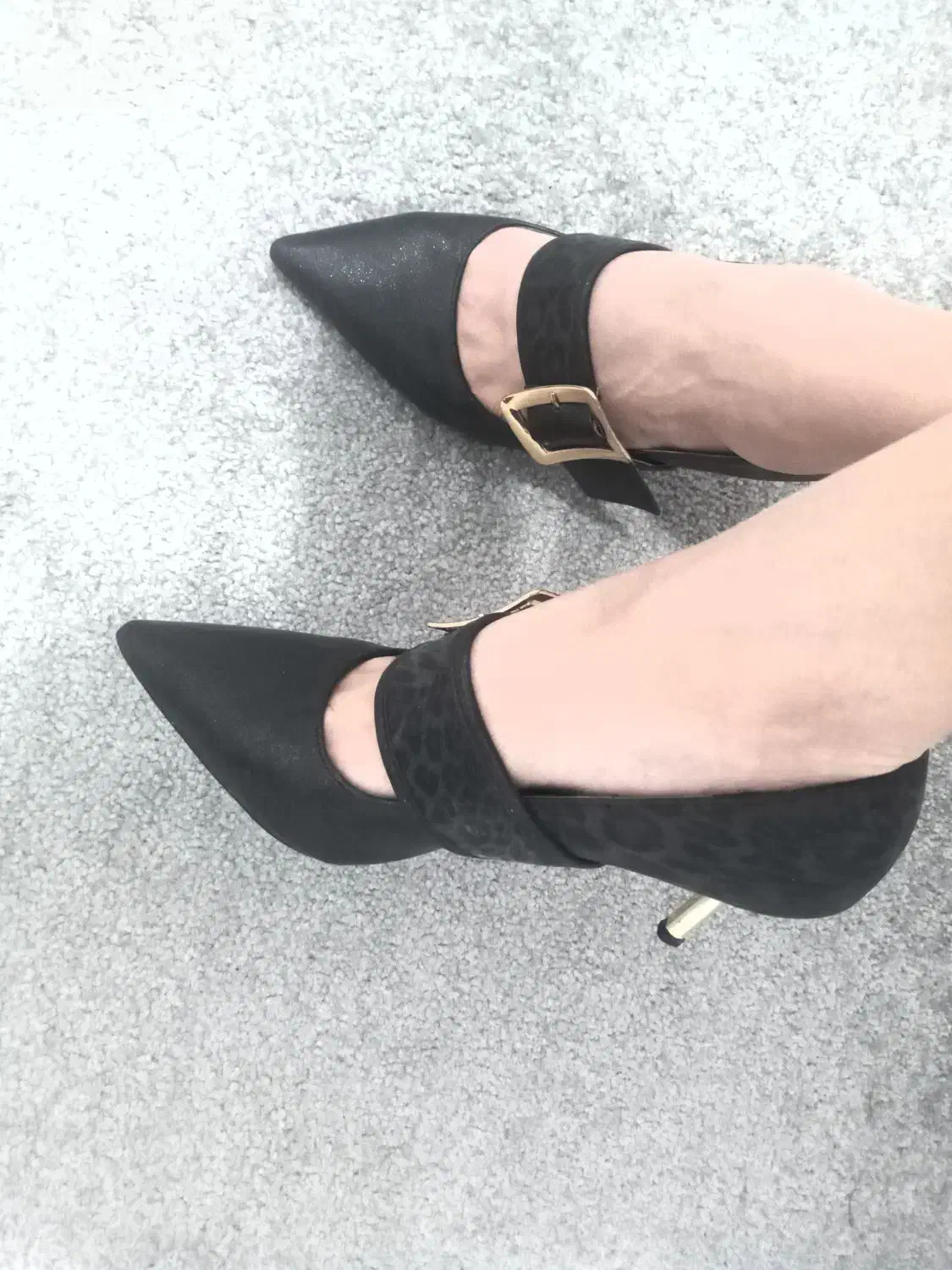 کفشچرم مجلسیسایز۳۷|کیف، کفش، کمربند|یاسوج, |دیوار