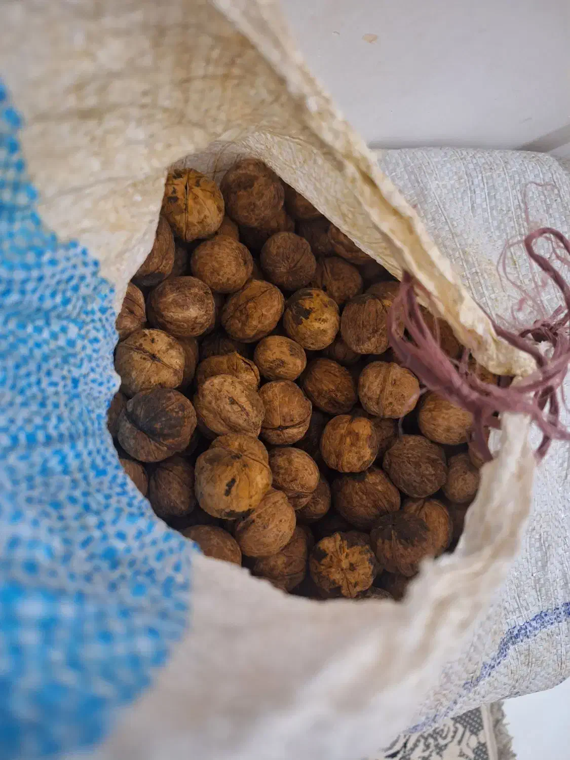 گردو چرب|خوردنی و آشامیدنی|سبزوار, قلعه‌نو دهزار|دیوار