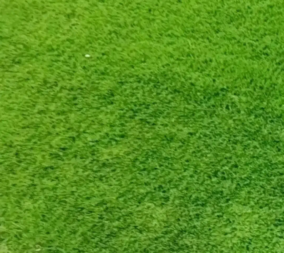 چمن مصنوعی نو|موکت|تهران, تهرانپارس غربی|دیوار